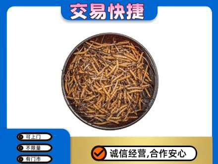 齐齐哈尔铁锋高价回收散虫草
